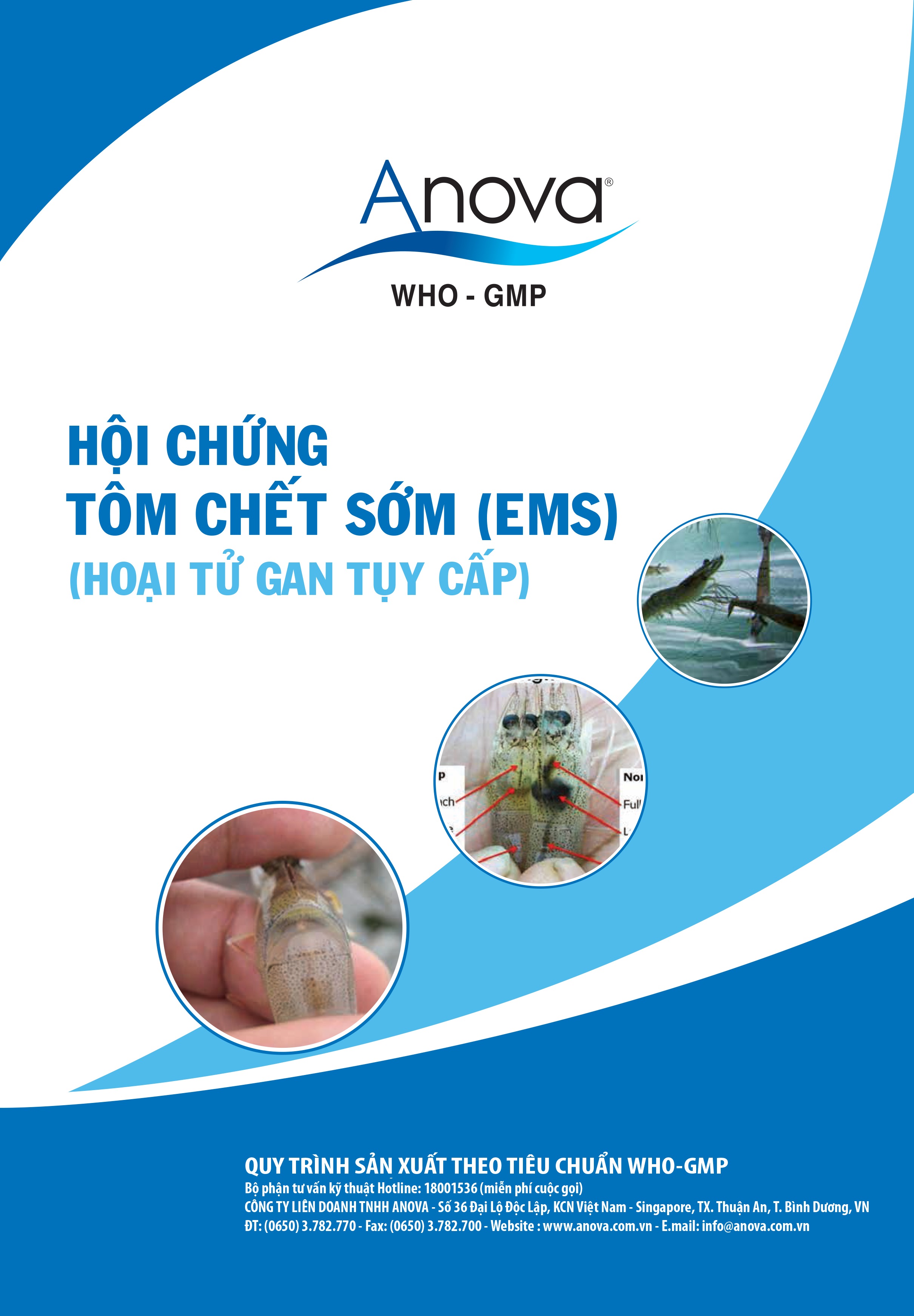 HỘI CHỨNG TÔM CHẾT SỚM (EMS) (HOẠI TỬ GAN TỤY CẤP)